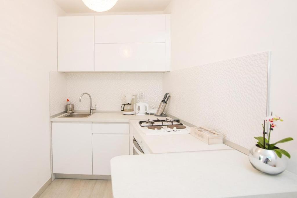 Villa Boro 3 Dubrovnik Extérieur photo